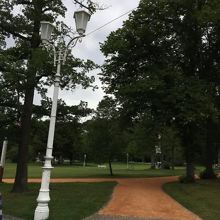 Kamila * 마리안스케 라즈네